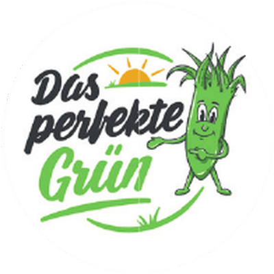 Das perfekte Grün – Rollrasen und Rasensaatgut für Sportplätze